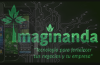 Imaginanda ®